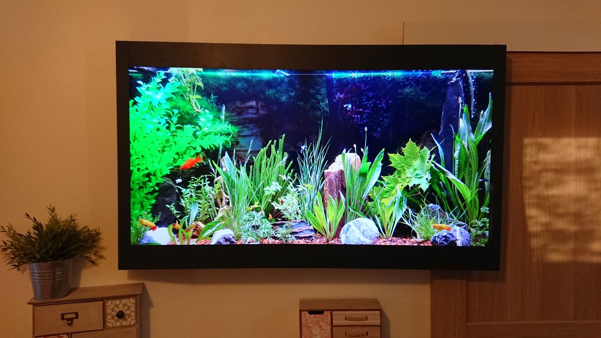 Écran Aquamovie avec cadre noir fixé au mur d'un salon