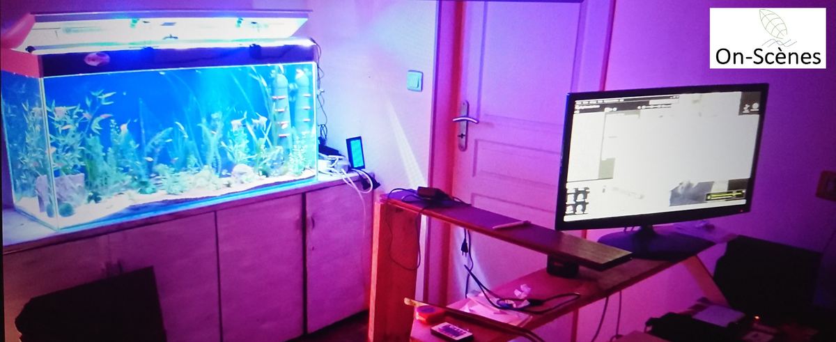 Le studio de tournage On-Scènes : un grand aquarium planté éclairé, filmé depuis un poste de montage