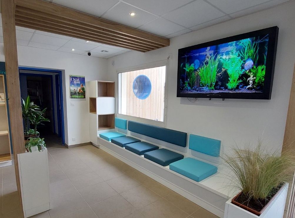Écran Aquamovie dans la salle d'attente d'une clinique vétérinaire